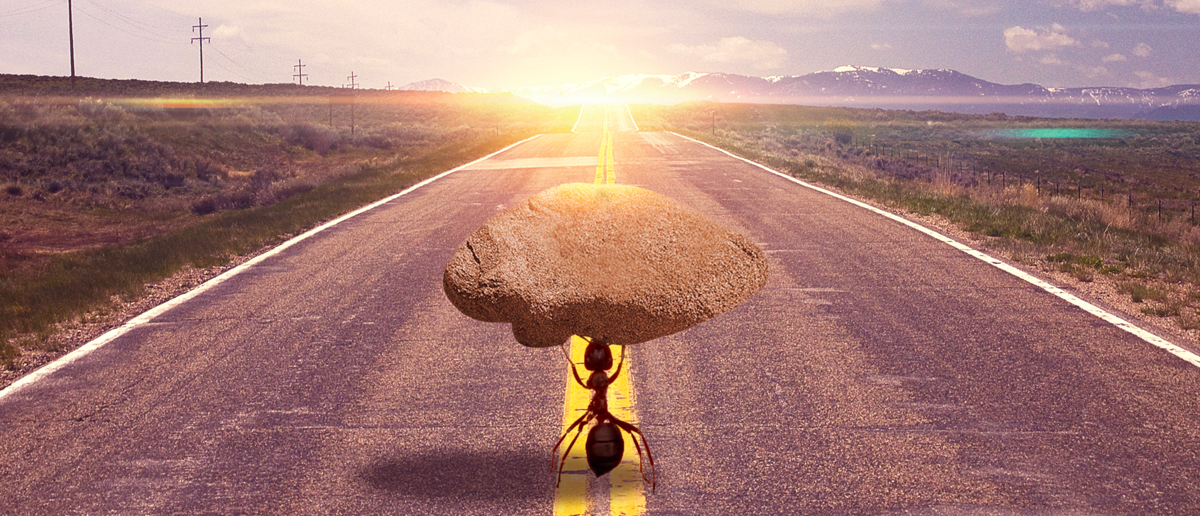 客户至上 携手共赢