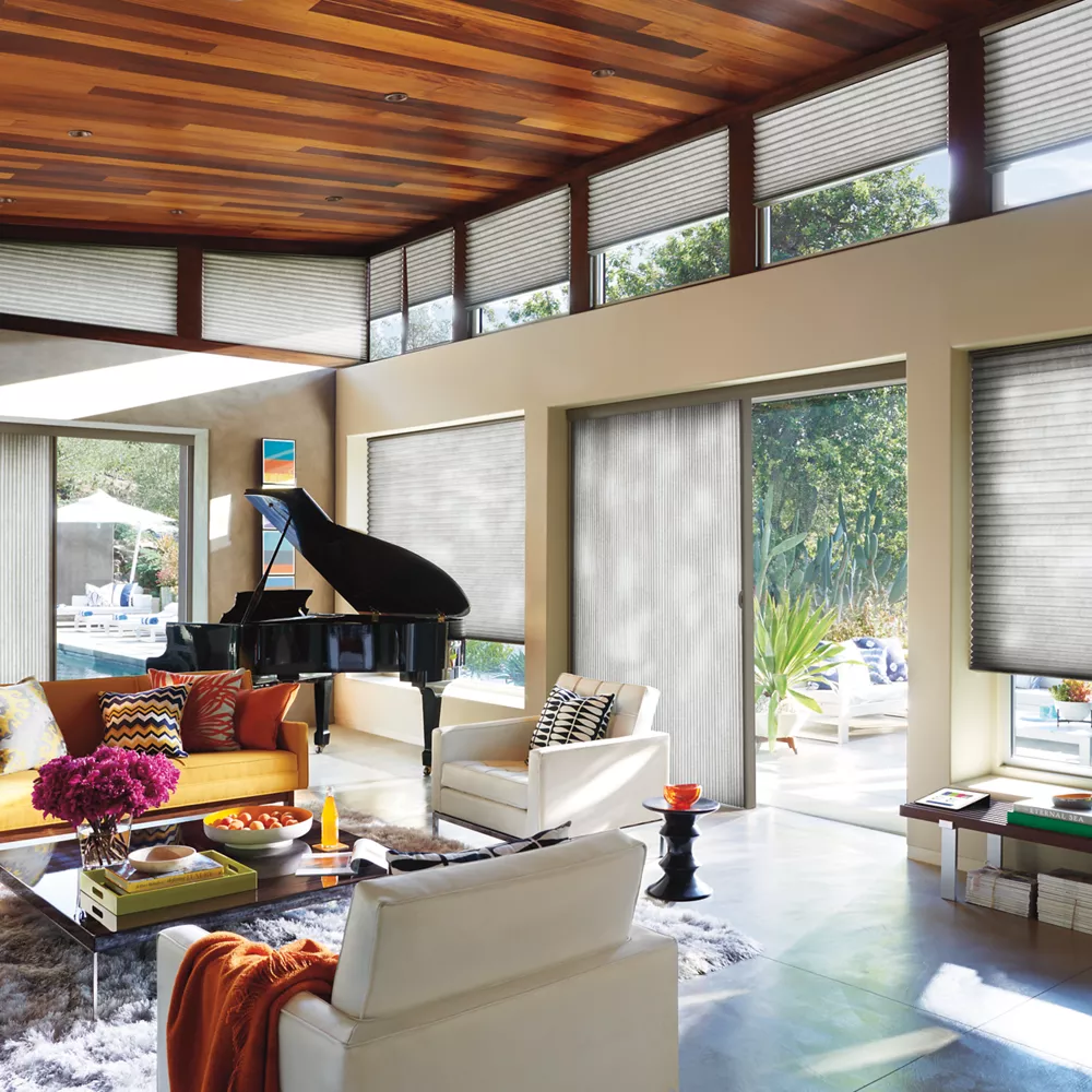 leisure and entertainment